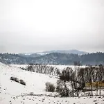 Osada Rokicie *