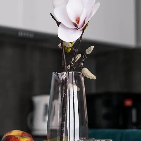 Osada Rokicie Feriehus