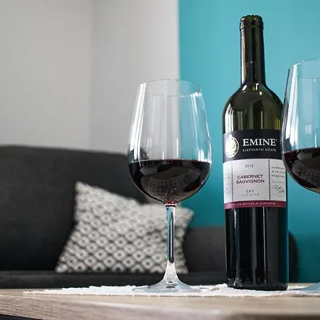 度假居 Osada Rokicie *